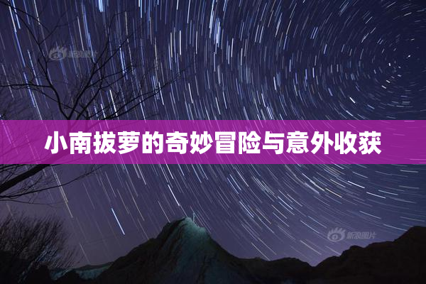 小南拔萝的奇妙冒险与意外收获