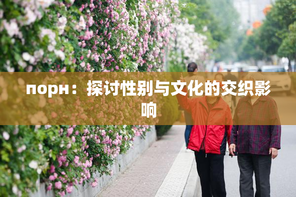 порн：探讨性别与文化的交织影响