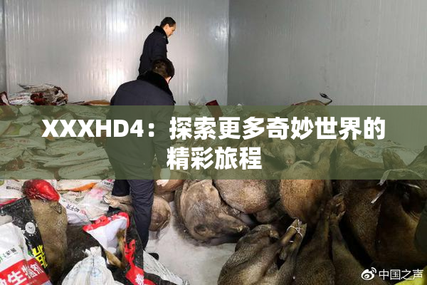 XXXHD4：探索更多奇妙世界的精彩旅程