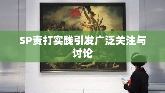 SP责打实践引发广泛关注与讨论