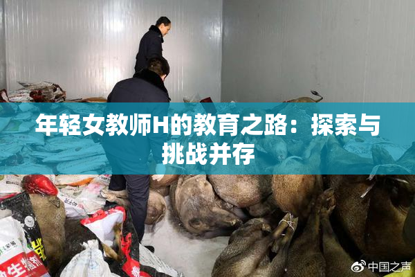 年轻女教师H的教育之路：探索与挑战并存