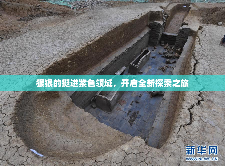 狠狠的挺进紫色领域，开启全新探索之旅