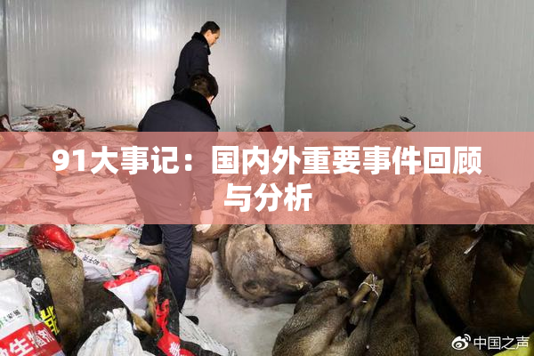 91大事记：国内外重要事件回顾与分析