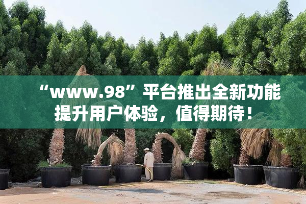 “www.98”平台推出全新功能提升用户体验，值得期待！