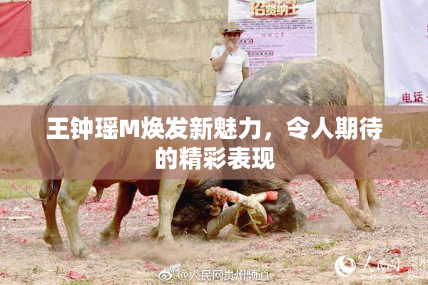 王钟瑶M焕发新魅力，令人期待的精彩表现