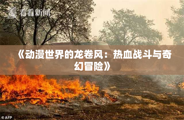 《动漫世界的龙卷风：热血战斗与奇幻冒险》
