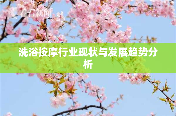 洗浴按摩行业现状与发展趋势分析