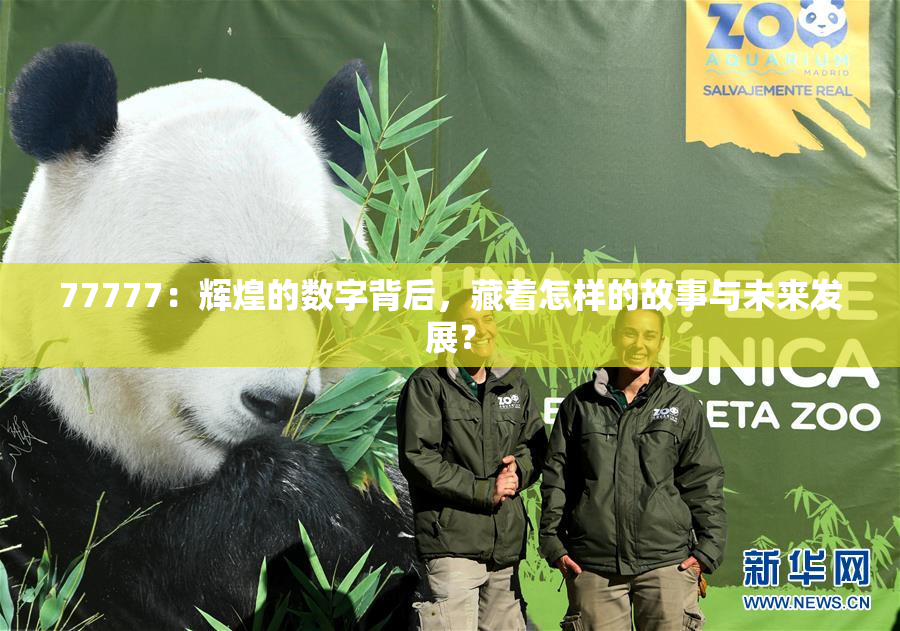 77777：辉煌的数字背后，藏着怎样的故事与未来发展？