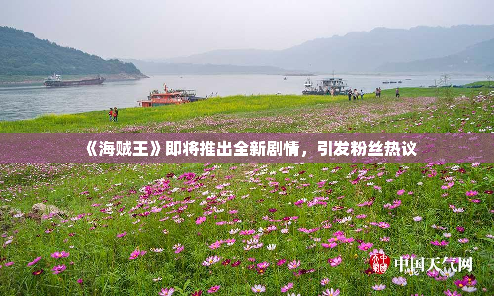 《海贼王》即将推出全新剧情，引发粉丝热议