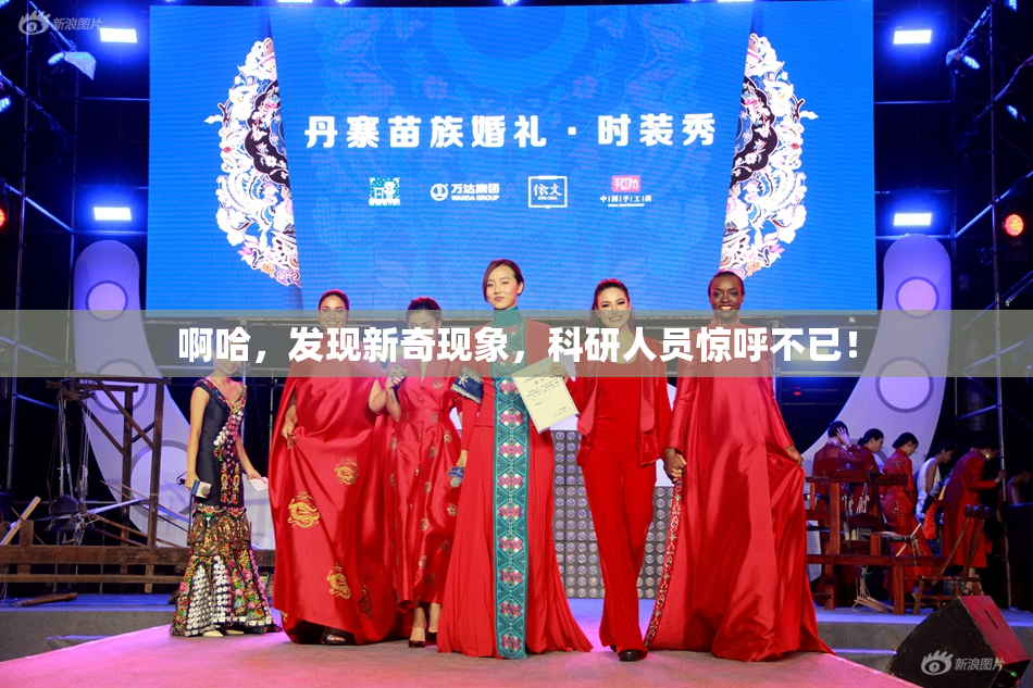 啊哈，发现新奇现象，科研人员惊呼不已！