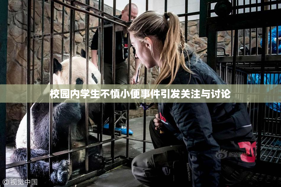 校园内学生不慎小便事件引发关注与讨论