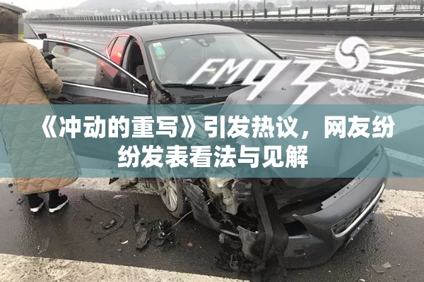 《冲动的重写》引发热议，网友纷纷发表看法与见解