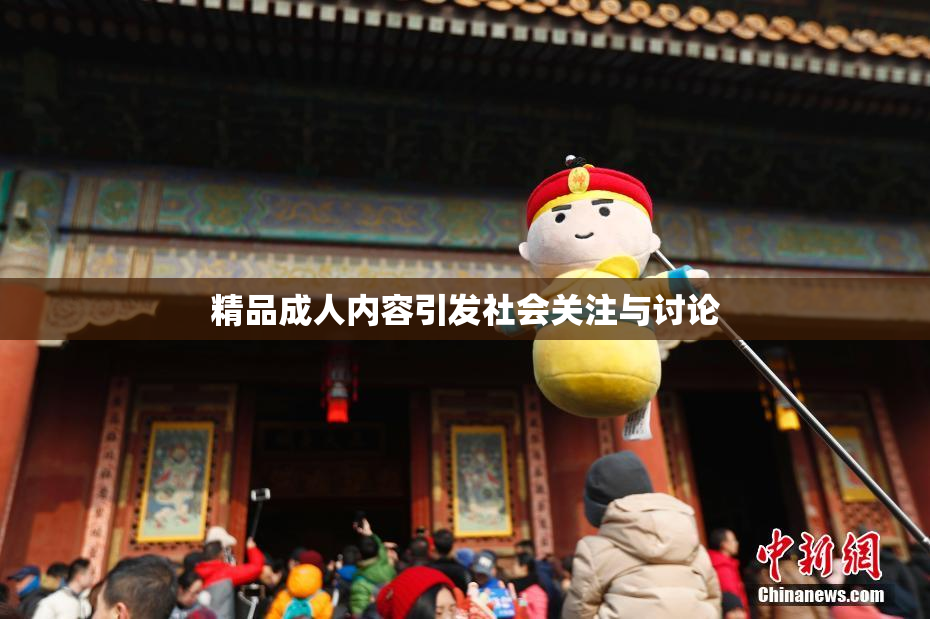 精品成人内容引发社会关注与讨论
