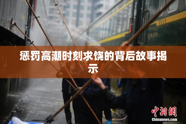 惩罚高潮时刻求饶的背后故事揭示