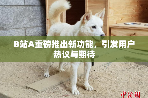 B站A重磅推出新功能，引发用户热议与期待