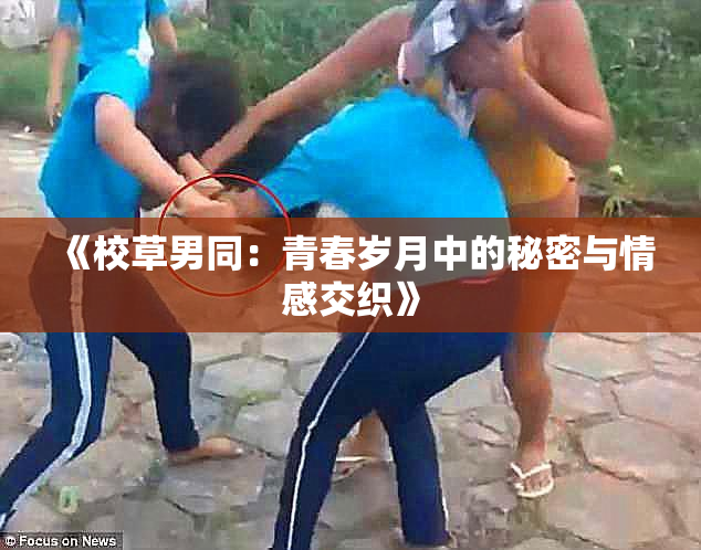 《校草男同：青春岁月中的秘密与情感交织》