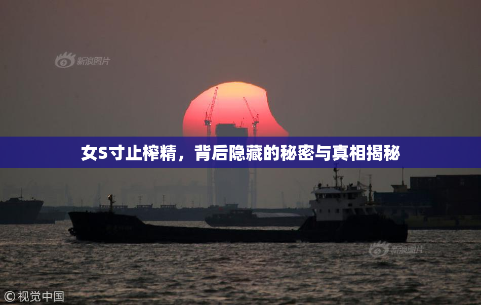女S寸止榨精，背后隐藏的秘密与真相揭秘