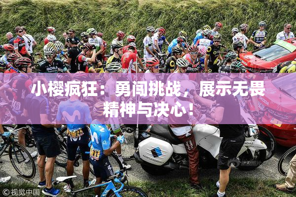 小樱疯狂：勇闯挑战，展示无畏精神与决心！