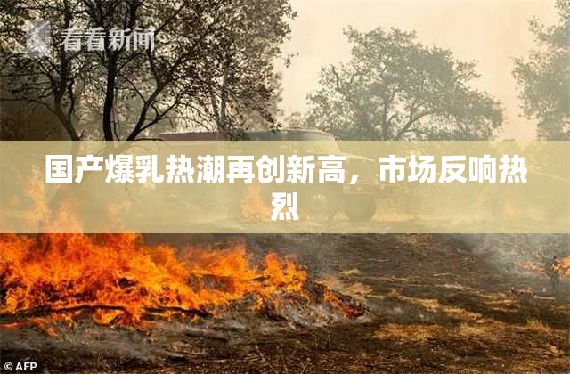 国产爆乳热潮再创新高，市场反响热烈