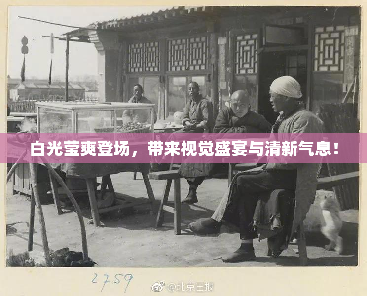 白光莹爽登场，带来视觉盛宴与清新气息！