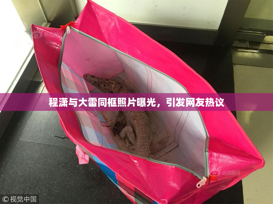 程潇与大雷同框照片曝光，引发网友热议