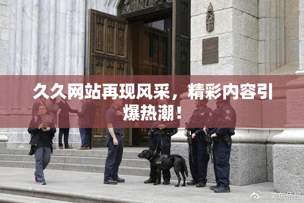 久久网站再现风采，精彩内容引爆热潮！
