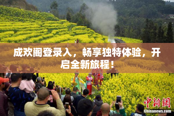 成欢阁登录入，畅享独特体验，开启全新旅程！