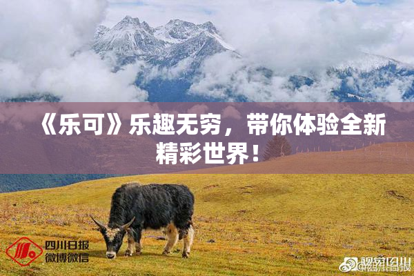 《乐可》乐趣无穷，带你体验全新精彩世界！