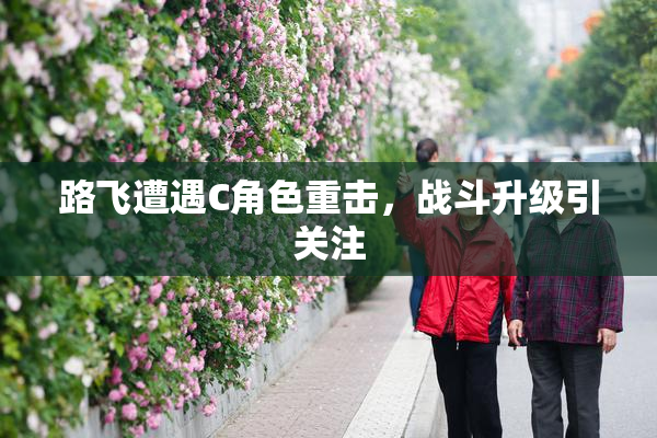 路飞遭遇C角色重击，战斗升级引关注