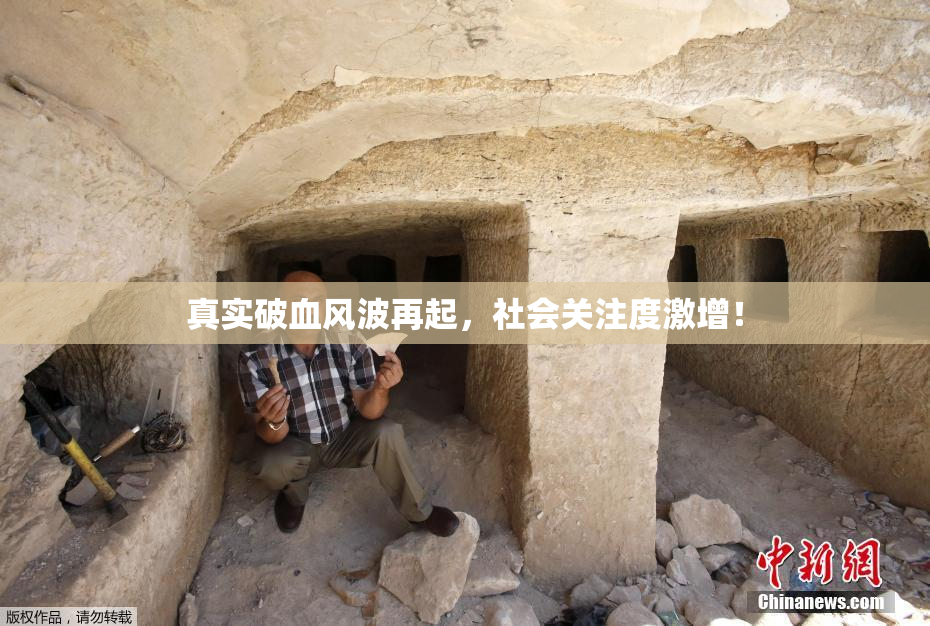 真实破血风波再起，社会关注度激增！