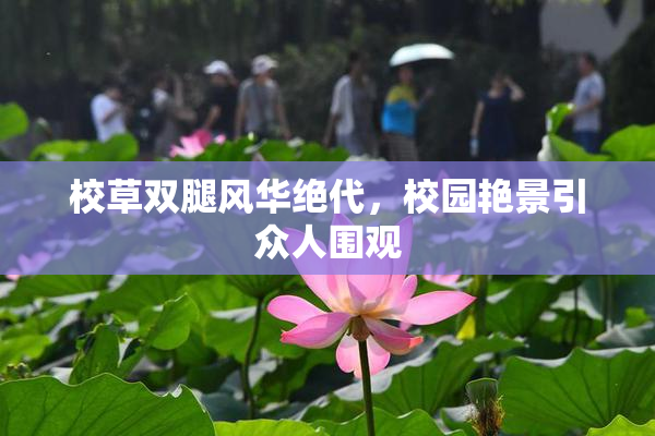 校草双腿风华绝代，校园艳景引众人围观