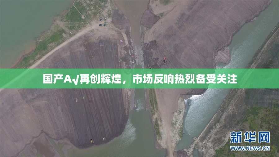 国产A√再创辉煌，市场反响热烈备受关注