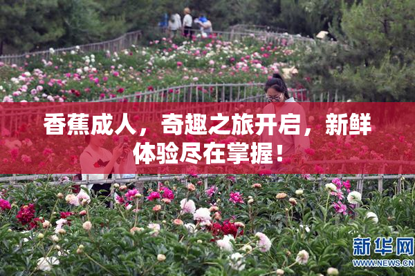 香蕉成人，奇趣之旅开启，新鲜体验尽在掌握！