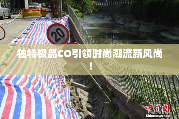 独特极品CO引领时尚潮流新风尚！
