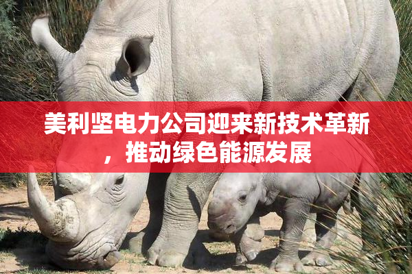 美利坚电力公司迎来新技术革新，推动绿色能源发展