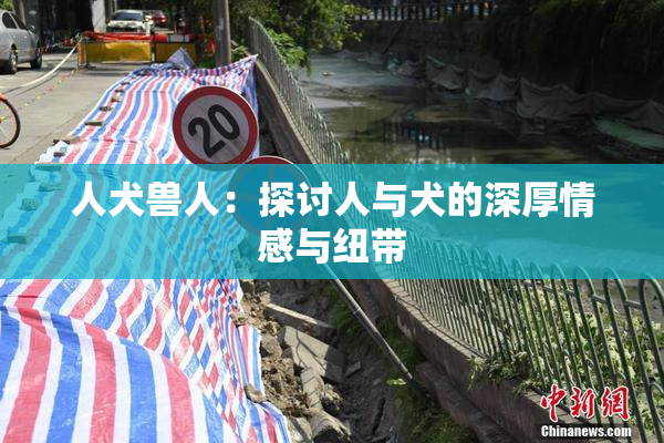 人犬兽人：探讨人与犬的深厚情感与纽带