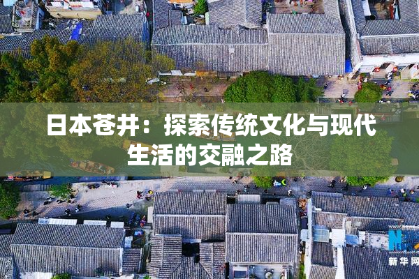 日本苍井：探索传统文化与现代生活的交融之路