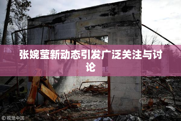 张婉莹新动态引发广泛关注与讨论