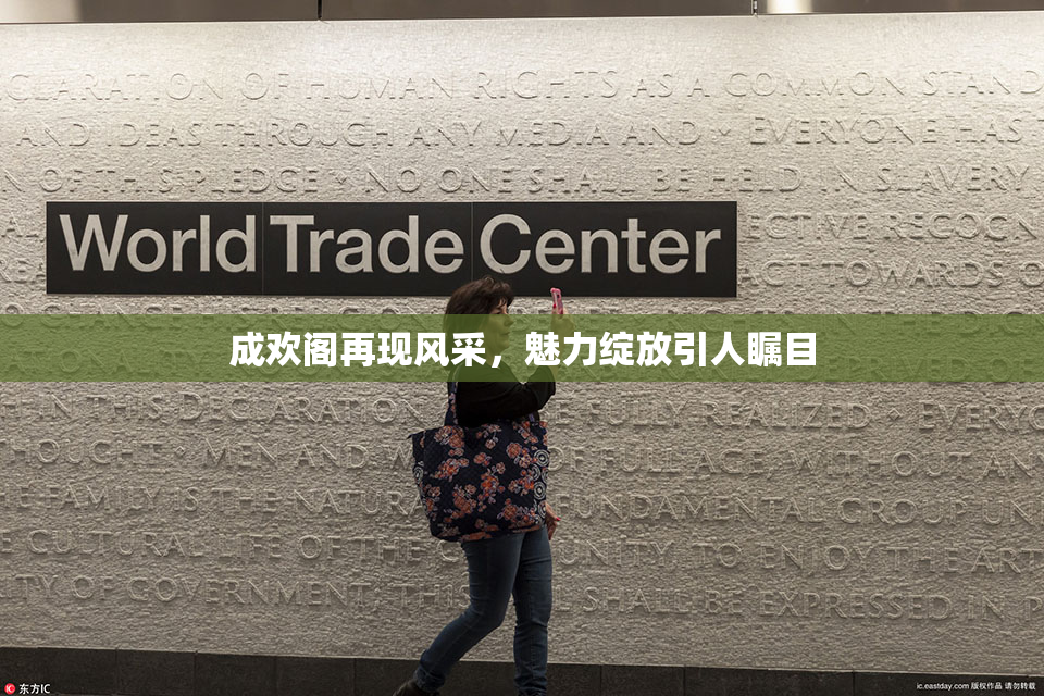 成欢阁再现风采，魅力绽放引人瞩目