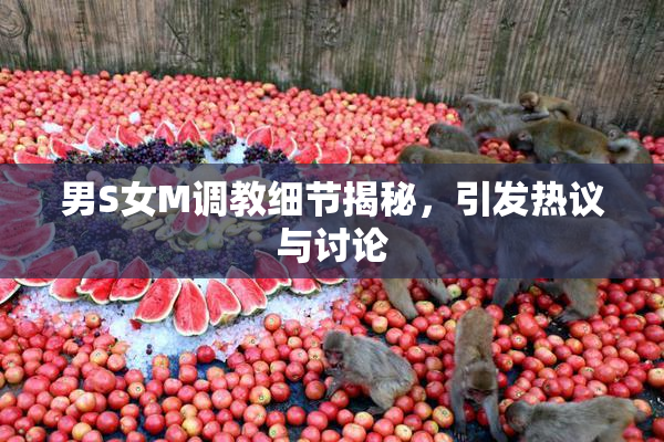 男S女M调教细节揭秘，引发热议与讨论