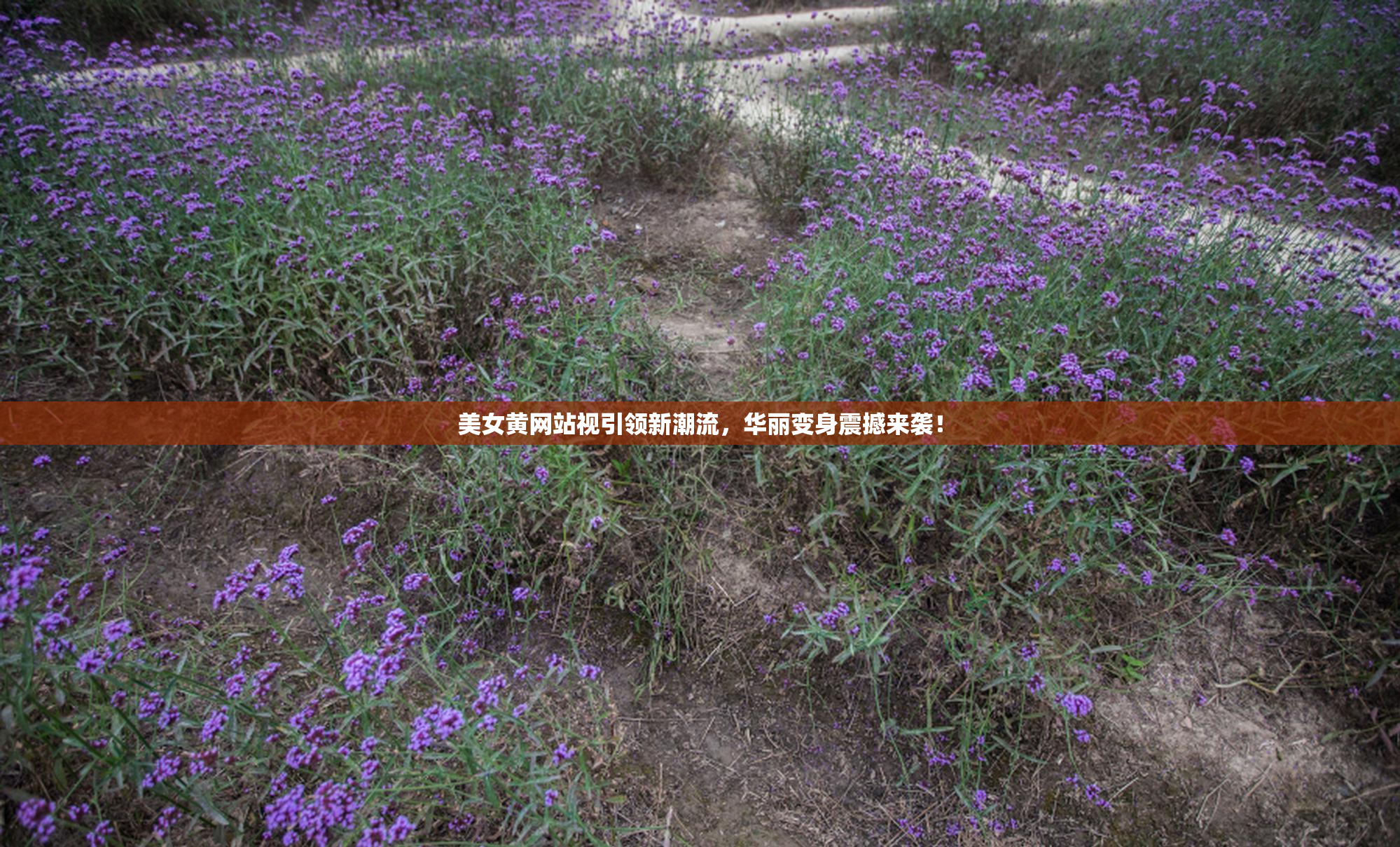 美女黄网站视引领新潮流，华丽变身震撼来袭！
