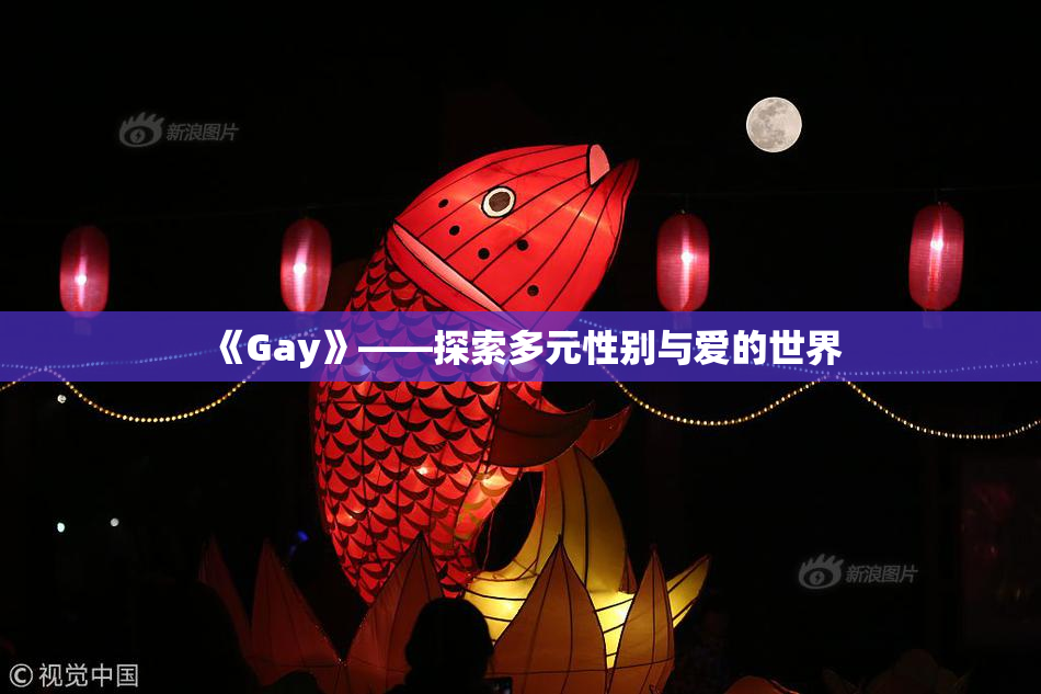 《Gay》——探索多元性别与爱的世界