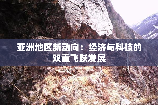 亚洲地区新动向：经济与科技的双重飞跃发展