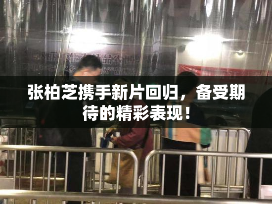 张柏芝携手新片回归，备受期待的精彩表现！