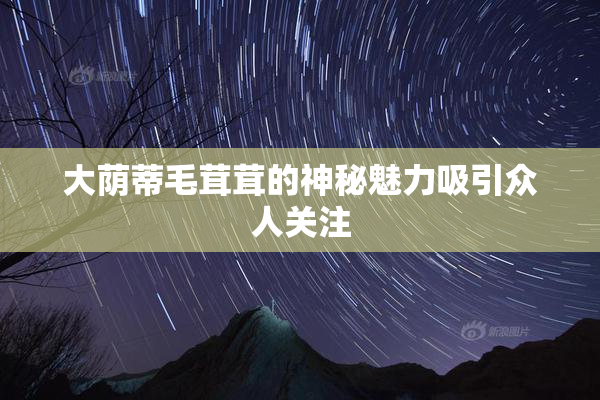 大荫蒂毛茸茸的神秘魅力吸引众人关注
