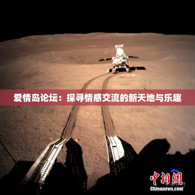 爱情岛论坛：探寻情感交流的新天地与乐趣