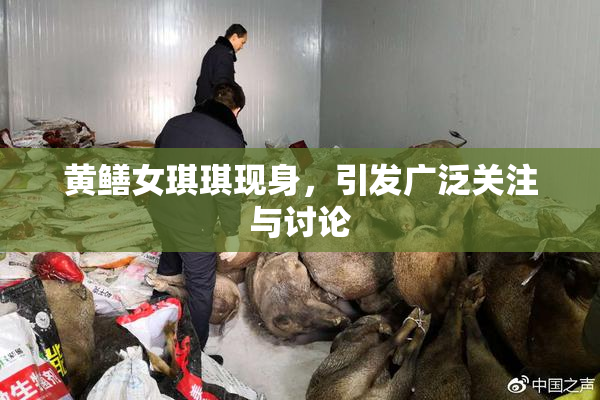 黄鳝女琪琪现身，引发广泛关注与讨论