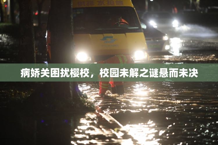 病娇关困扰樱校，校园未解之谜悬而未决