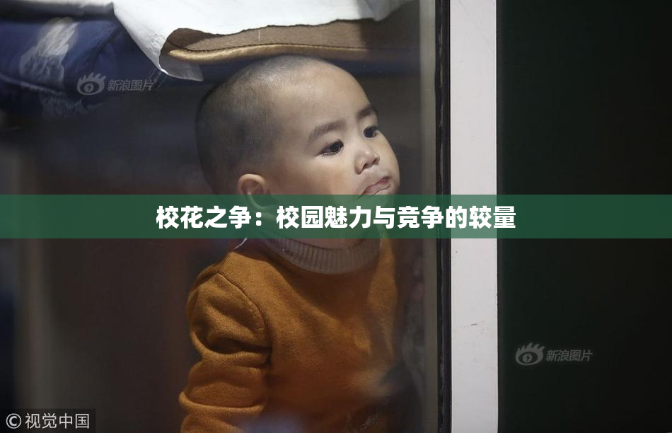校花之争：校园魅力与竞争的较量