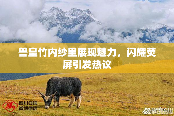 兽皇竹内纱里展现魅力，闪耀荧屏引发热议